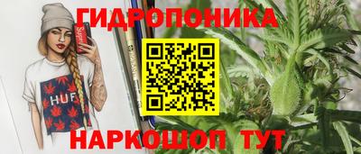 дмт Пушкино